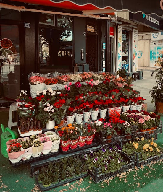 An outdoor flower display in front of a floral shop, featuring a variety of fresh flowers including red roses, pink tulips, and mixed bouquets wrapped in white and red paper, arranged on black plastic